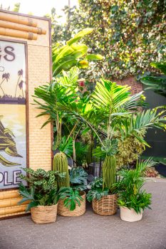 Dellables-Tropical-Florals-MaddyLPhoto-056