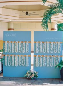 dmitri-and-sandra-photography-larissa-and-marcus-182