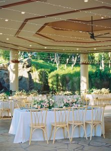 dmitri-and-sandra-photography-larissa-and-marcus-544